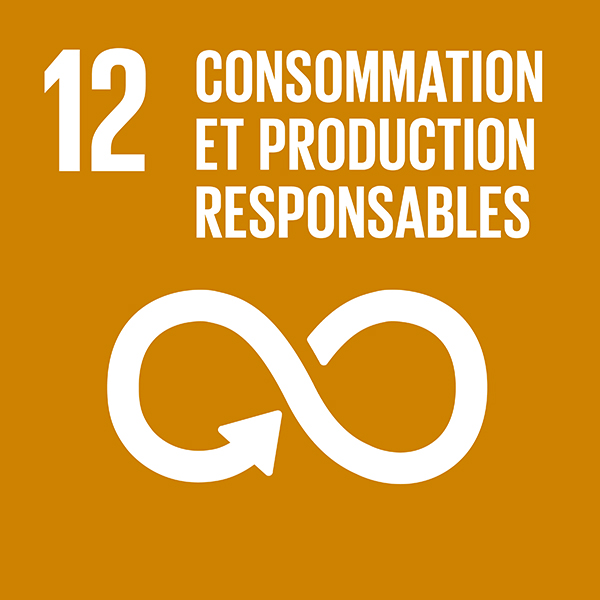 12 Consommation et productions responsables